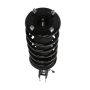 PRT PERFORMANCE RIDE 816388 PRT Complete Strut Assembly