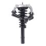 PRT PERFORMANCE RIDE 816408 PRT Complete Strut Assembly