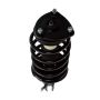 PRT PERFORMANCE RIDE 816509 PRT Complete Strut Assembly