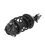 PRT PERFORMANCE RIDE 816547 PRT Complete Strut Assembly