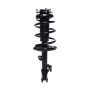 PRT PERFORMANCE RIDE 816549 PRT Complete Strut Assembly
