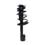 PRT PERFORMANCE RIDE 816549 PRT Complete Strut Assembly