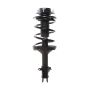 PRT PERFORMANCE RIDE 816552 PRT Complete Strut Assembly