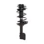 PRT PERFORMANCE RIDE 816552 PRT Complete Strut Assembly