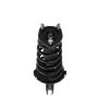 PRT PERFORMANCE RIDE 816553 PRT Complete Strut Assembly