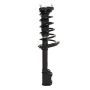 PRT PERFORMANCE RIDE 816554 PRT Complete Strut Assembly