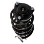 PRT PERFORMANCE RIDE 816616 PRT Complete Strut Assembly