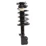 PRT PERFORMANCE RIDE 816631 PRT Complete Strut Assembly