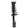 PRT PERFORMANCE RIDE 816633 PRT Complete Strut Assembly