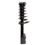 PRT PERFORMANCE RIDE 816634 PRT Complete Strut Assembly