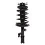 PRT PERFORMANCE RIDE 816636 PRT Complete Strut Assembly