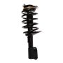 PRT PERFORMANCE RIDE 816639 PRT Complete Strut Assembly