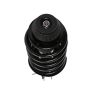 PRT PERFORMANCE RIDE 816646 PRT Complete Strut Assembly