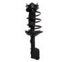 PRT PERFORMANCE RIDE 816657 PRT Complete Strut Assembly