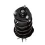 PRT PERFORMANCE RIDE 816658 PRT Complete Strut Assembly