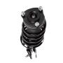 PRT PERFORMANCE RIDE 816715 PRT Complete Strut Assembly