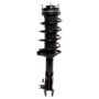 PRT PERFORMANCE RIDE 816715 PRT Complete Strut Assembly