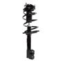 PRT PERFORMANCE RIDE 816769 PRT Complete Strut Assembly