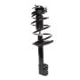 PRT PERFORMANCE RIDE 816770 PRT Complete Strut Assembly