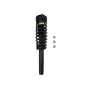 PRT PERFORMANCE RIDE 816773 PRT Complete Strut Assembly