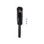 PRT PERFORMANCE RIDE 816773 PRT Complete Strut Assembly