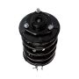 PRT PERFORMANCE RIDE 816783 PRT Complete Strut Assembly