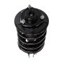 PRT PERFORMANCE RIDE 816784 PRT Complete Strut Assembly