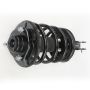 PRT PERFORMANCE RIDE 816809 PRT Complete Strut Assembly