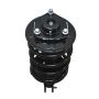 PRT PERFORMANCE RIDE 816810 PRT Complete Strut Assembly