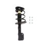 PRT PERFORMANCE RIDE 816947 PRT Complete Strut Assembly