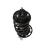 PRT PERFORMANCE RIDE 816951 PRT Complete Strut Assembly
