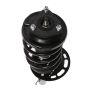 PRT PERFORMANCE RIDE 816952 PRT Complete Strut Assembly
