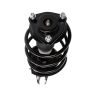 PRT PERFORMANCE RIDE 816956 PRT Complete Strut Assembly