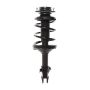 PRT PERFORMANCE RIDE 817014 PRT Complete Strut Assembly
