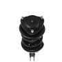 PRT PERFORMANCE RIDE 817025 PRT Complete Strut Assembly