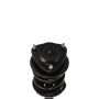 PRT PERFORMANCE RIDE 817026 PRT Complete Strut Assembly