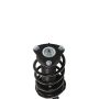 PRT PERFORMANCE RIDE 817041 PRT Complete Strut Assembly