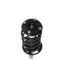 PRT PERFORMANCE RIDE 817129 PRT Complete Strut Assembly