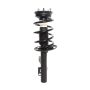 PRT PERFORMANCE RIDE 817130 PRT Complete Strut Assembly