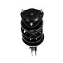 PRT PERFORMANCE RIDE 817137 PRT Complete Strut Assembly