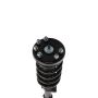 PRT PERFORMANCE RIDE 817140 PRT Complete Strut Assembly