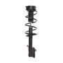 PRT PERFORMANCE RIDE 817142 PRT Complete Strut Assembly