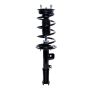 PRT PERFORMANCE RIDE 817152 PRT Complete Strut Assembly