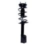 PRT PERFORMANCE RIDE 817152 PRT Complete Strut Assembly