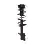 PRT PERFORMANCE RIDE 817156 PRT Complete Strut Assembly