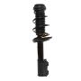 PRT PERFORMANCE RIDE 817178 PRT Complete Strut Assembly