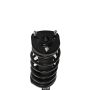 PRT PERFORMANCE RIDE 817244 PRT Complete Strut Assembly