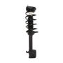 PRT PERFORMANCE RIDE 817244 PRT Complete Strut Assembly