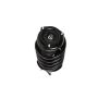 PRT PERFORMANCE RIDE 817245 PRT Complete Strut Assembly