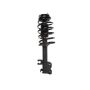 PRT PERFORMANCE RIDE 817246 PRT Complete Strut Assembly